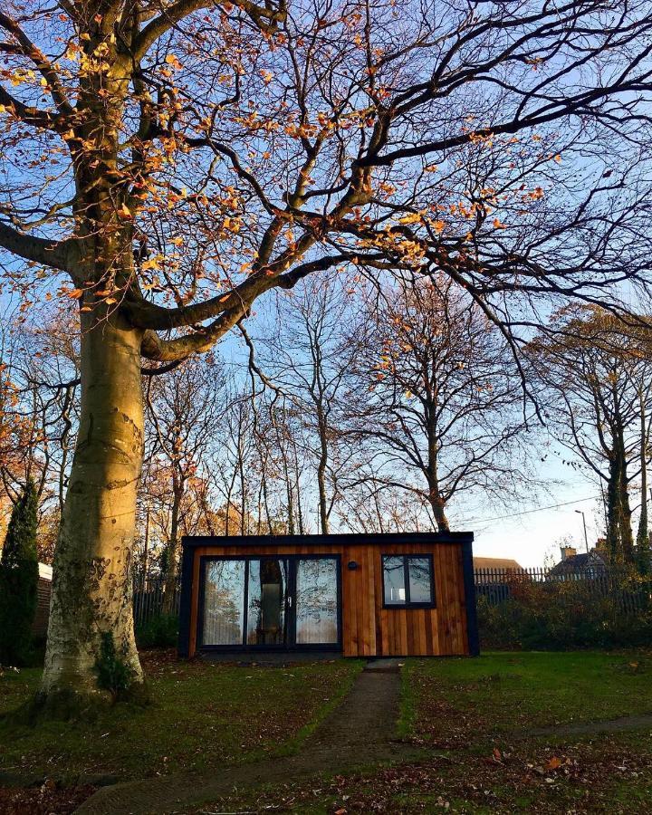 Cozy Snowdonia Chalet Caernarfon Exteriör bild
